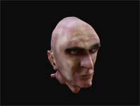 3-D human head